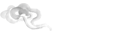 清宝阁-实力诠释口碑